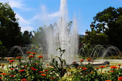 Scenic view of water fountain in park against sky