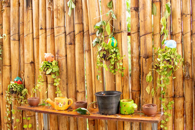 Potted plants and vegetables on wood