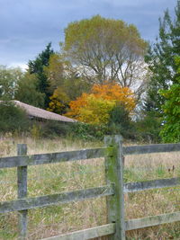 Fence by trees against sky during autumn