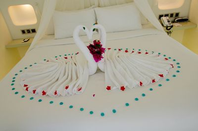 Close-up of white flowers