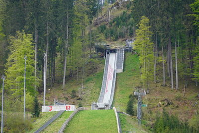 High angle view of road amidst trees in forest