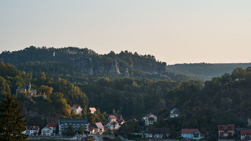 Trees and townscape against sky