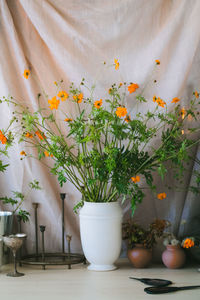 Potted plant on table