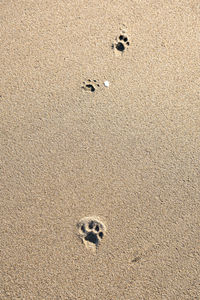 High angle view of footprints on sand