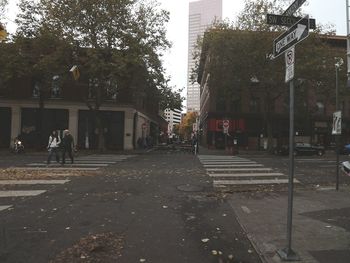 Road along trees in city