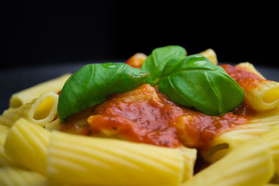 Close-up of basil on fresh penne pasta served against black background