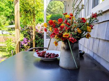 Potted plants on table by window