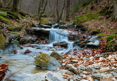 Waterfall in forest