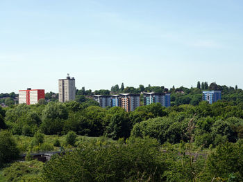 Trees and buildings against sky