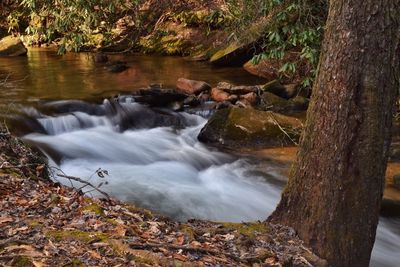 Stream flowing through rocks in forest