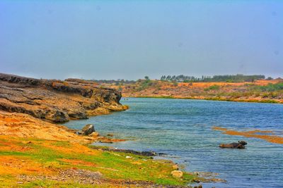 Scenic view of sea against clear sky