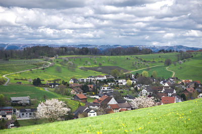 Scenic view of agricultural field by houses against sky