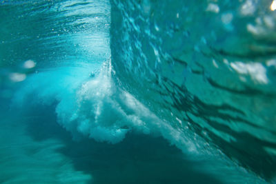 Close-up of swimming underwater