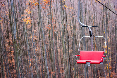 Empty seats on tree trunk in forest