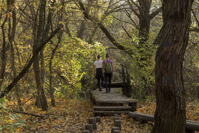 Rear view of people standing by trees in forest