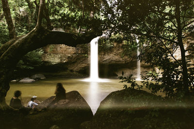 Scenic view of waterfall in forest