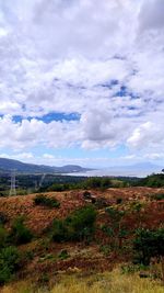 Scenic view of field against sky