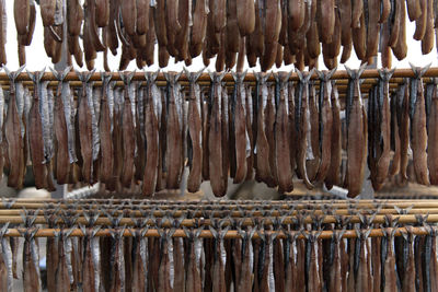 View of drying fishes which are herrings and saury