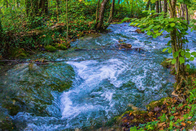 Stream flowing through rocks in forest