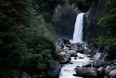 Scenic view of waterfall in forest