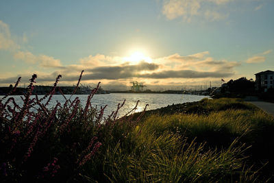 Scenic view of sea against sky during sunset