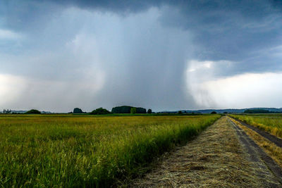 Scenic view of agricultural field against sky