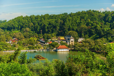 Plants and trees by lake against sky