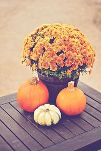 Pumpkins on table