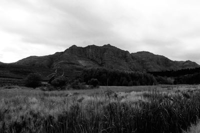 Scenic view of landscape against cloudy sky