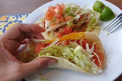 Close-up of person holding food in plate