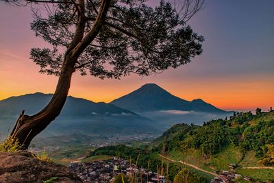 Scenic view of tree mountains against sky at sunset