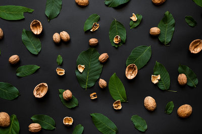 High angle view of leaves on table