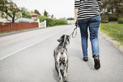 Low section rear view of senior woman walking with dog on street