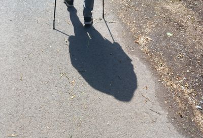 shadow
