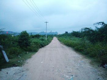 Empty road along trees