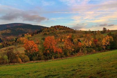 Scenic view of field against sky during autumn