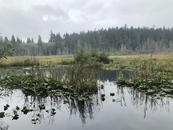 Scenic view of lake against sky