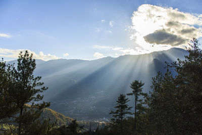 Sunlight streaming through trees on landscape against sky