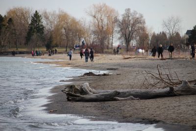 People enjoying in park