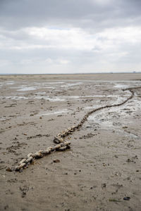 Fishing boat anchor chain stuck on the beach in low tide period in leigh-on-sea, uk.