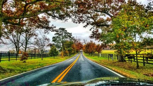 Road amidst trees against sky