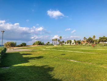 Scenic view of field against sky