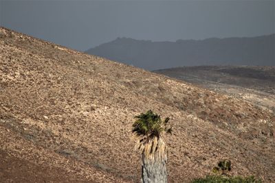 Scenic view of desert against sky