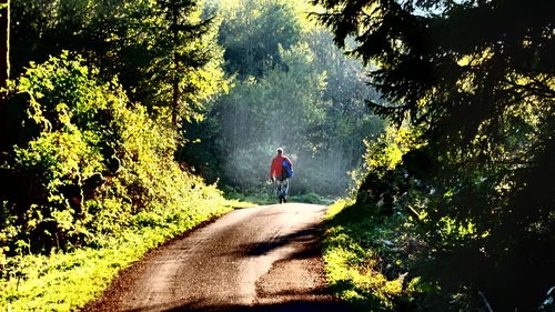 Rear view of man walking on road in forest