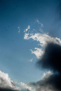 Low angle view of bird flying in sky