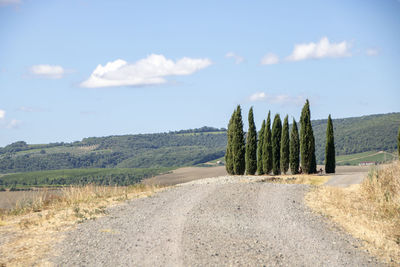 Road amidst trees against sky