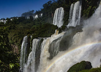 Scenic view of waterfall in forest