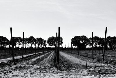 Road by trees against sky