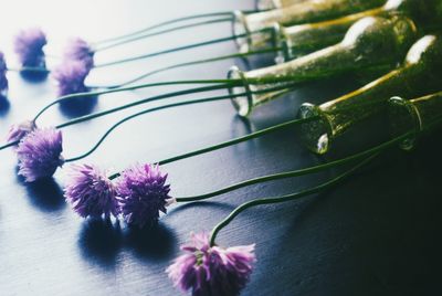 Close-up of purple flowering plant on table