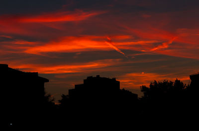 Silhouette of trees at sunset